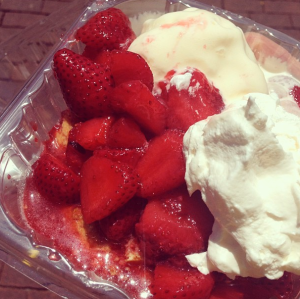 Christ Church Cathedral Strawberry Fest