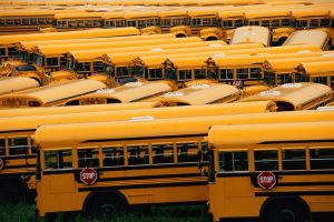 Yard of school buses