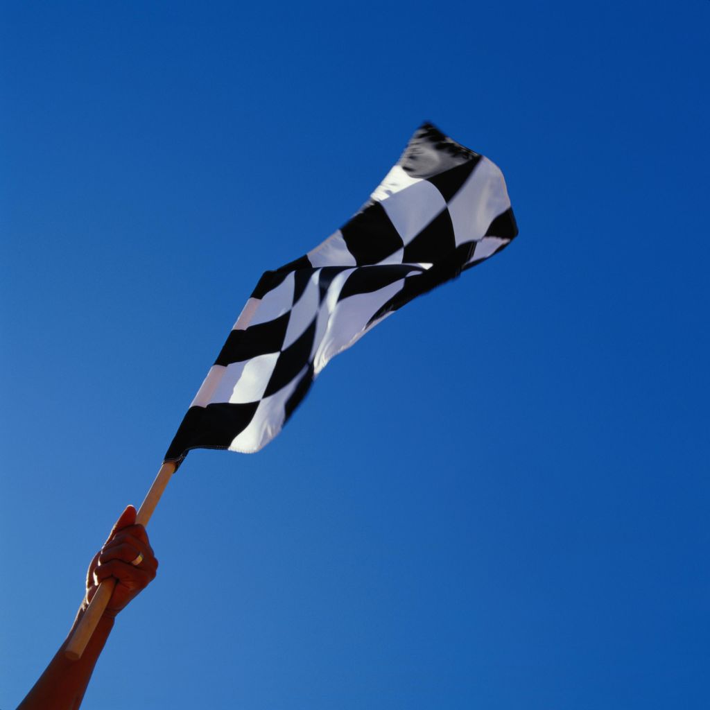 Person Holding Checkered Flag
