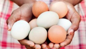 Black woman holding eggs