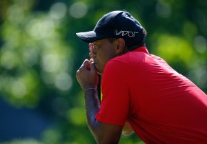 GREENSBORO, NC - AUGUST 23:  Tiger Woods lines up his birdie putt on the 13th green during the final round of the Wyndham Championship at Sedgefield Country Club on August 23, 2015 in Greensboro, North Carolina.  (Photo by Kevin C. Cox/Getty Images)