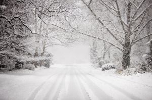 Snowy road in snow storm.