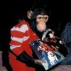 Michael Jackson's Chimpanze Bubbles
