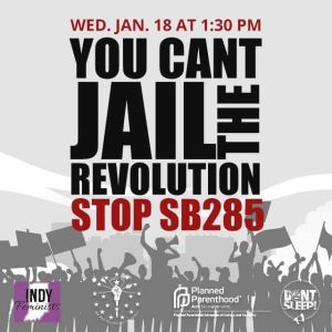 YOU CAN'T STOP THE REVOLUTION STOP HB285
