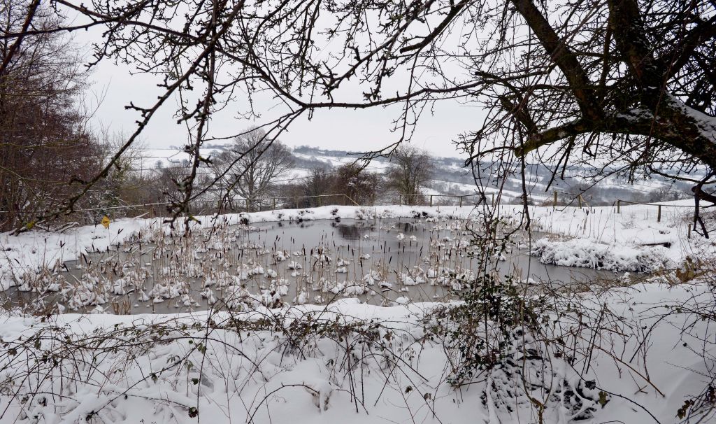 Heavy Snow continued To fall over Britain