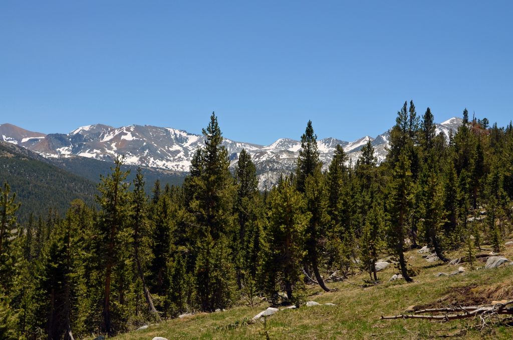 The high country of Yosemite in late spring