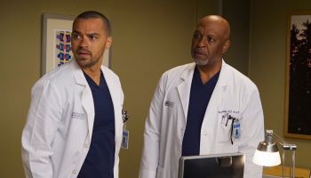 ABC's 'Grey's Anatomy' - Season Twelve