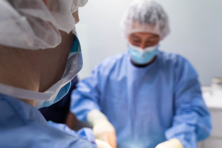 Two veterinarians at an operation.