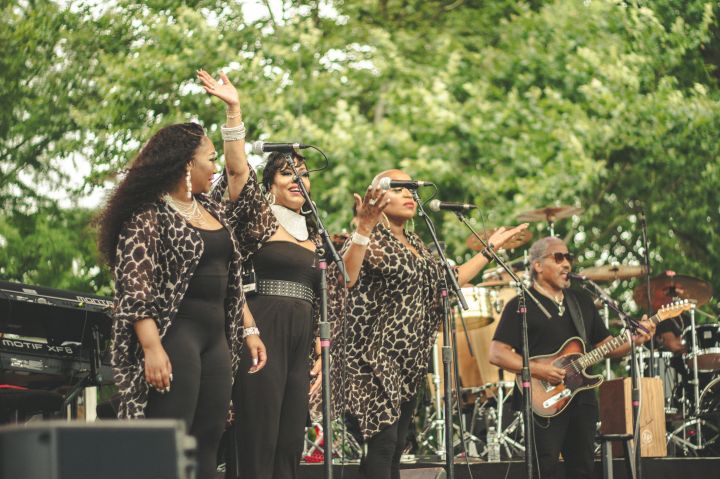 Chaka Khan Indiana State Fair