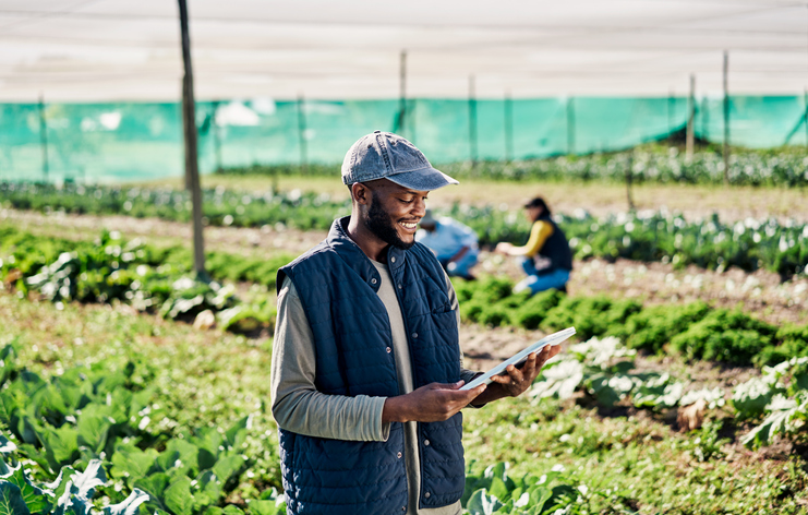Happy young farmer using digital tablet while working on organic sustainable farm to cultivate vegetables in agriculture. Man using technology to prepare harvest and monitor plant growth in a field