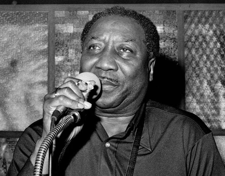 Muddy Waters