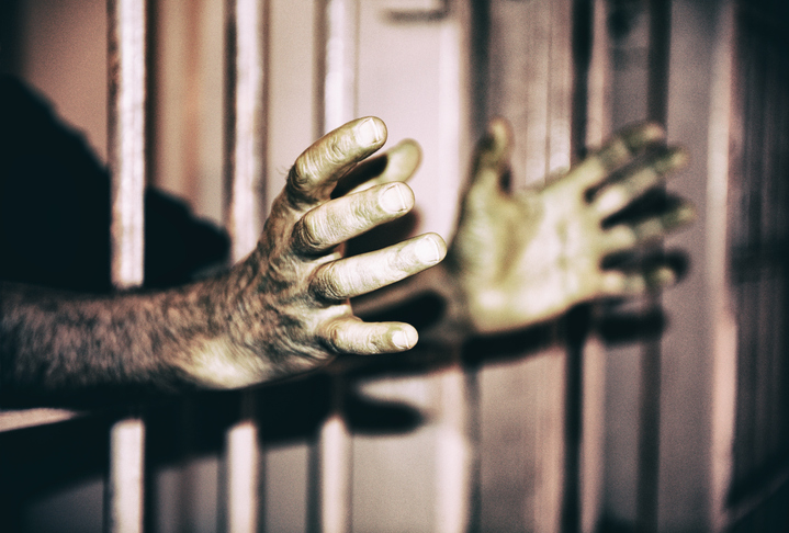 Prisoner Hands through the bars.