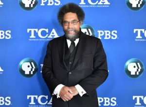 PBS 'Black America Since MLK: And Still I Rise' Panel at the TCA Summer Press Tour - Day 2, Los Angeles, USA - 29 Jul 2016