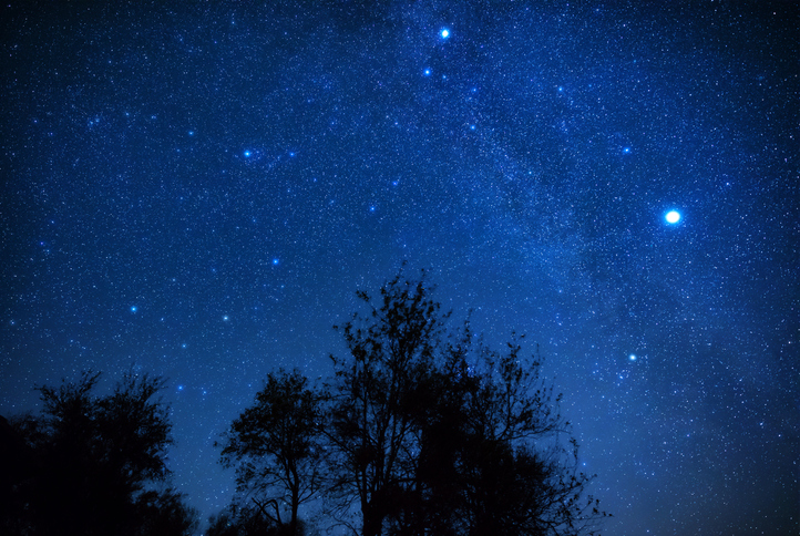 Milky Way stars with meteor shower trails and countryside tree silhouettes.
