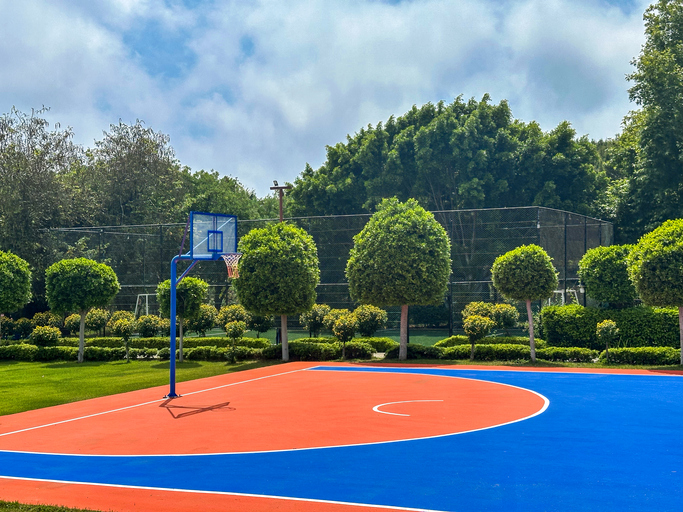 Outdoor basketball court with blue and orange net
