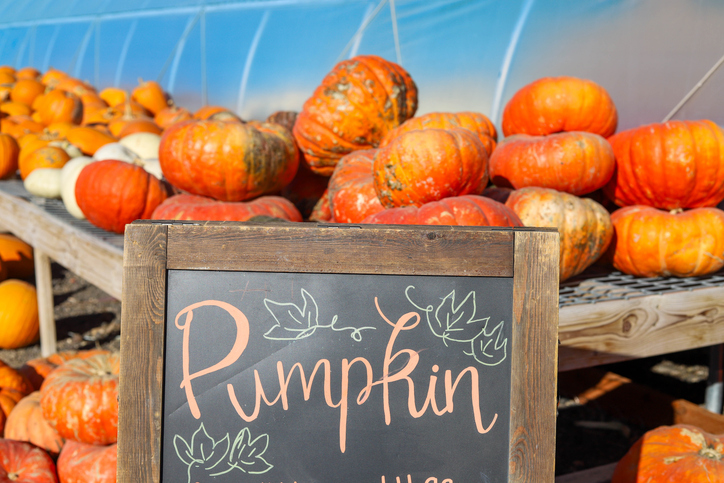 Colorful fall pumpkin on wood table with pumpkin sign