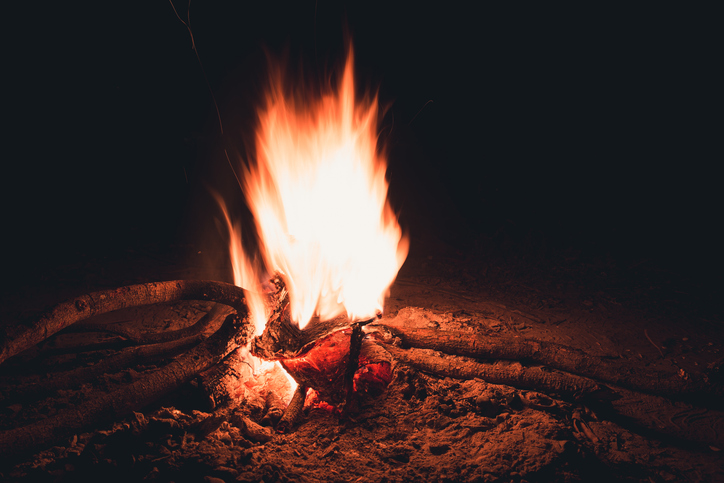 bonfire with fire on dry wood on ground